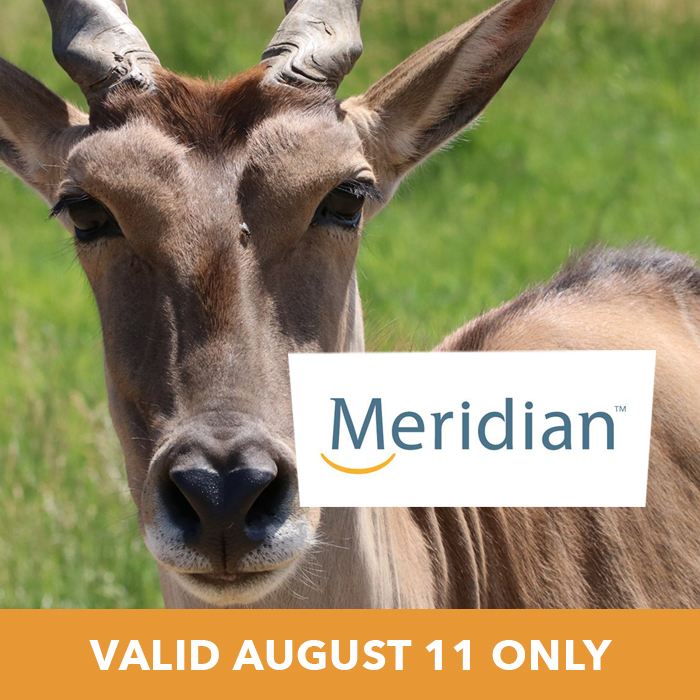 Meridian Credit Union Day Tickets
