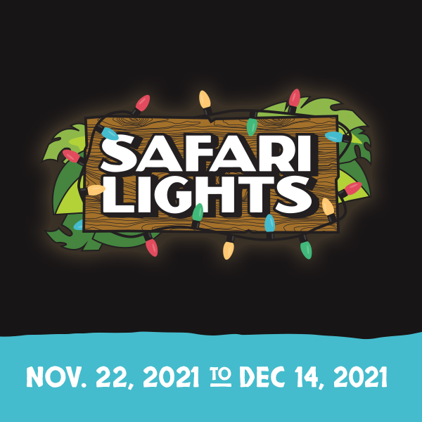 safari lights promo code