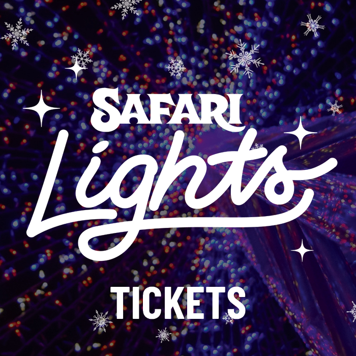 Safari Lights Drive Thru Ticket