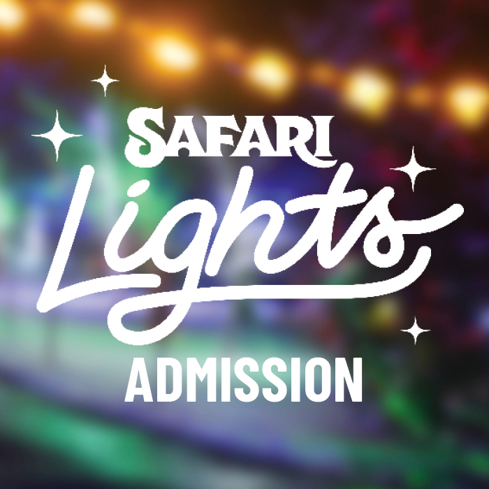 Safari Lights Drive Thru Ticket